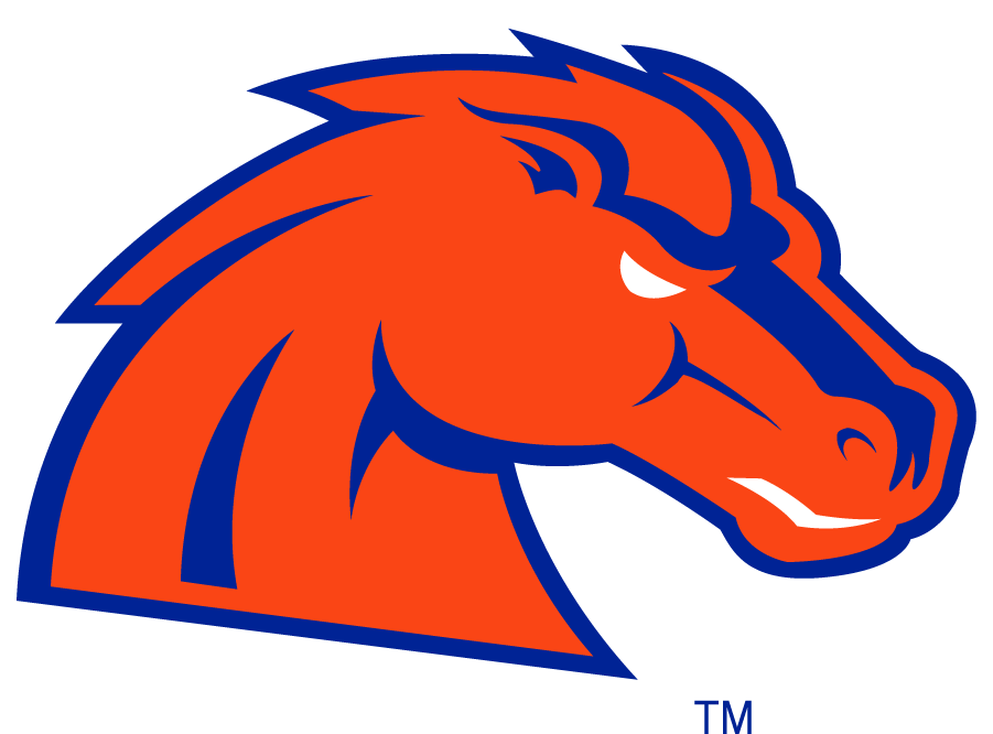 Boise State Broncos 2002-2012 Secondary Logo v31 iron on transfers for T-shirts
